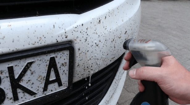 Как очистить машину от мошек?